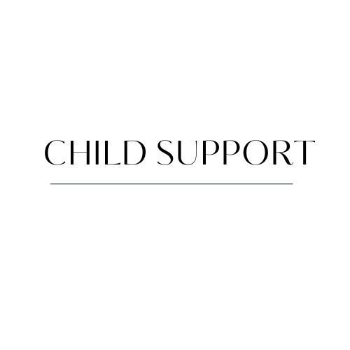 Ellis County Child Support Lawyer