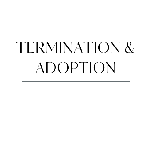 Ellis County Adoption Lawyer